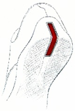 542549b2e58749560018e1cb08e1c2c0_1620229573_5831.png